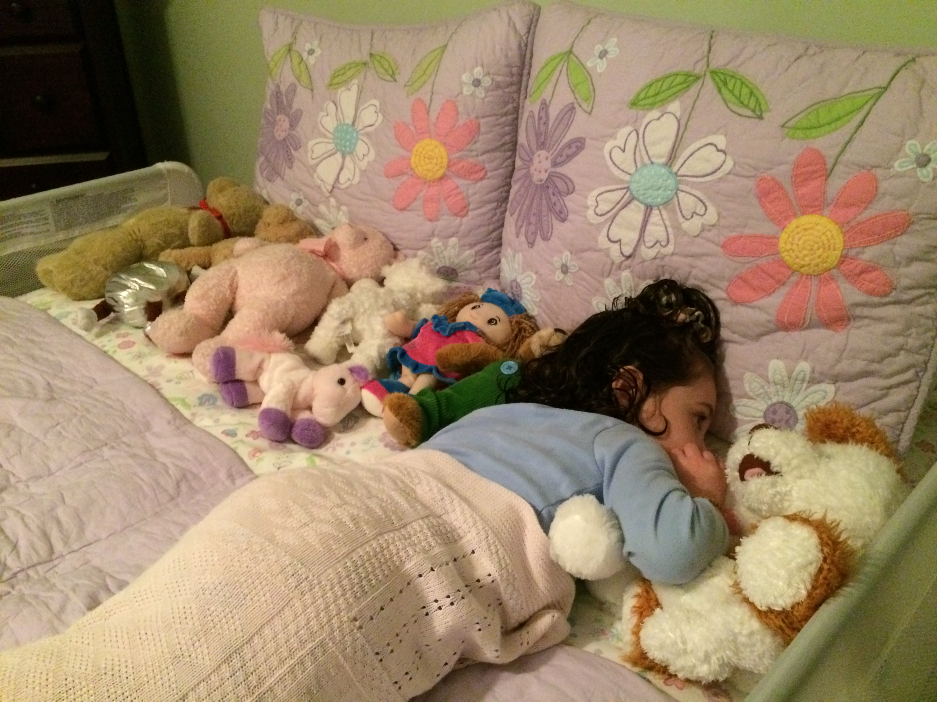 There is such a thing as too many stuffed animals! – Raising Literate Humans