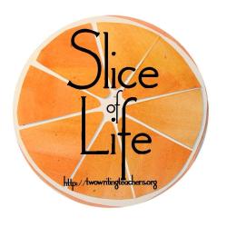 Head over to https://twowritingteachers.org for more slice of life stories.